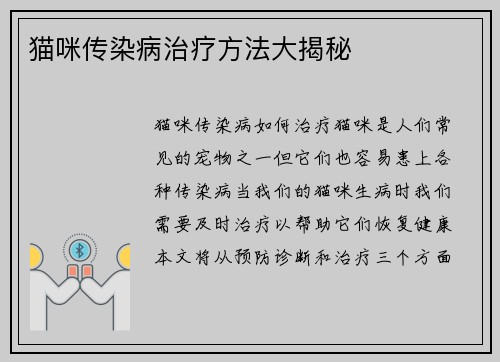 猫咪传染病治疗方法大揭秘